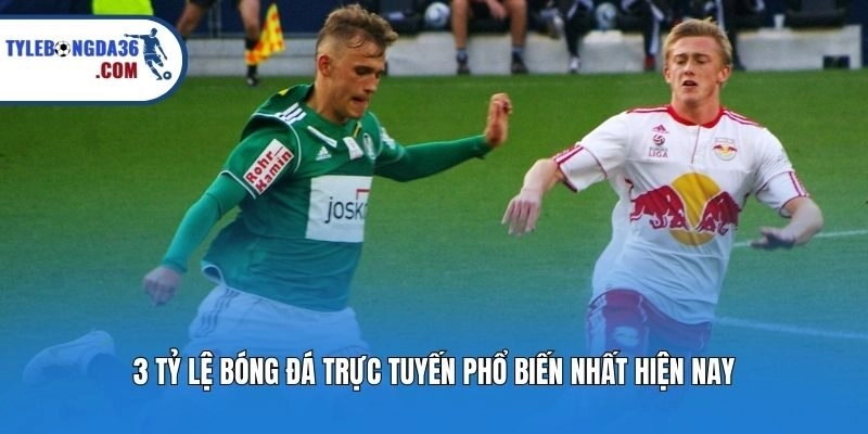 3 tỷ lệ bóng đá trực tuyến phổ biến nhất hiện nay