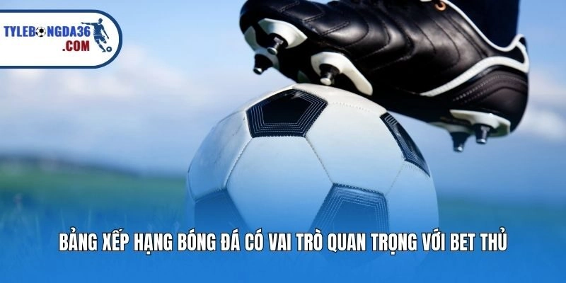 Bảng xếp hạng bóng đá có vai trò quan trọng với bet thủ