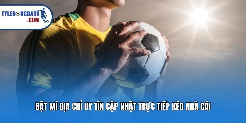 Bật mí địa chỉ uy tín cập nhật trực tiếp kèo nhà cái