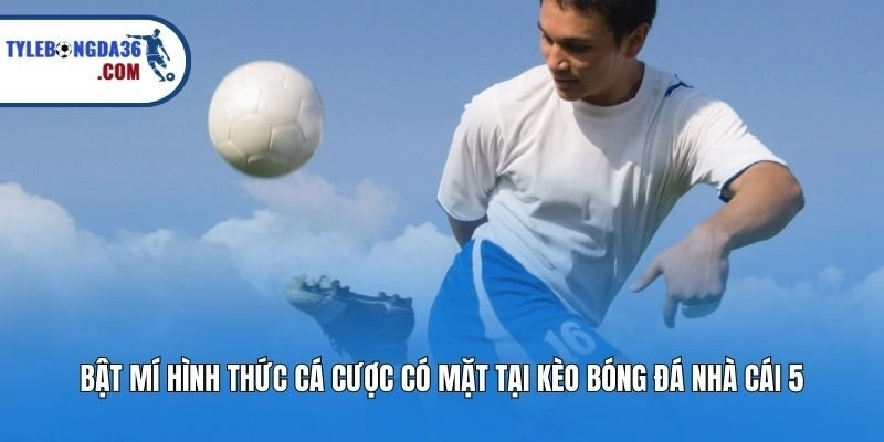 Bật mí hình thức cá cược có mặt tại Kèo bóng đá nhà cái 5