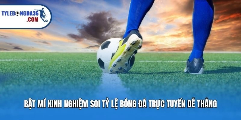 Bật mí kinh nghiệm soi tỷ lệ bóng đá trực tuyến dễ thắng