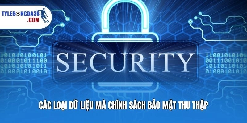 Các loại dữ liệu mà chính sách bảo mật thu thập