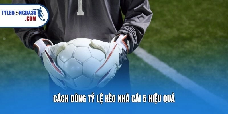 Cách dùng tỷ lệ kèo nhà cái 5 hiệu quả