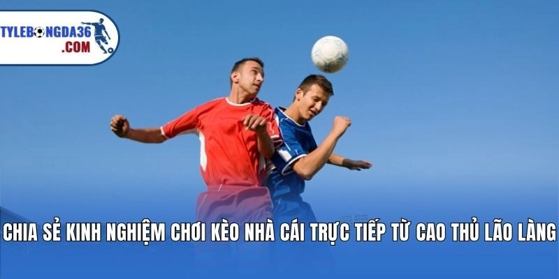 Chia sẻ kinh nghiệm chơi kèo nhà cái trực tiếp từ cao thủ lão làng