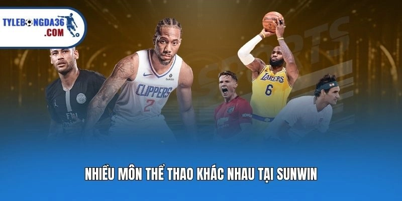 Nhiều môn thể thao khác nhau tại Sunwin