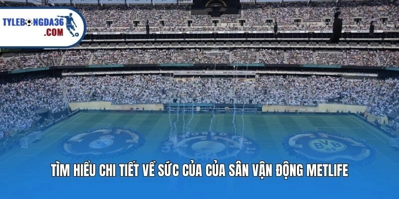 Tìm hiểu chi tiết về sức của của sân vận động MetLife