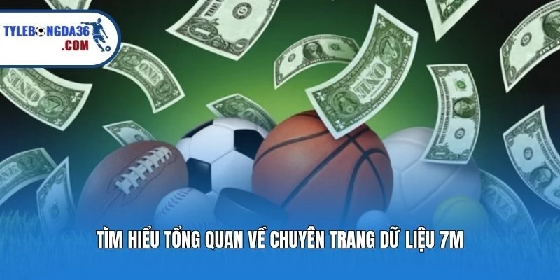 Tìm hiểu tổng quan về chuyên trang dữ liệu 7M