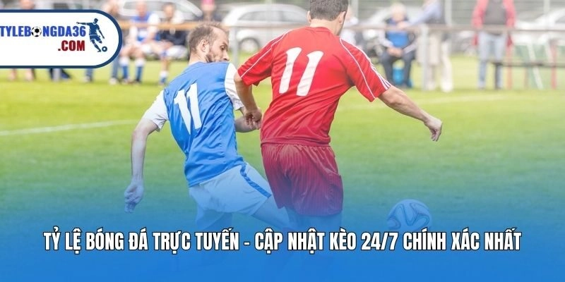 Tỷ Lệ Bóng Đá Trực Tuyến - Cập Nhật Kèo 24/7 Chính Xác Nhất