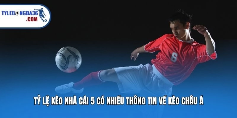 Tỷ lệ kèo nhà cái 5 có nhiều thông tin về kèo châu Á