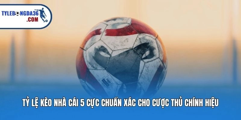 Tỷ Lệ Kèo Nhà Cái 5 Cực Chuẩn Xác Cho Cược Thủ Chính Hiệu